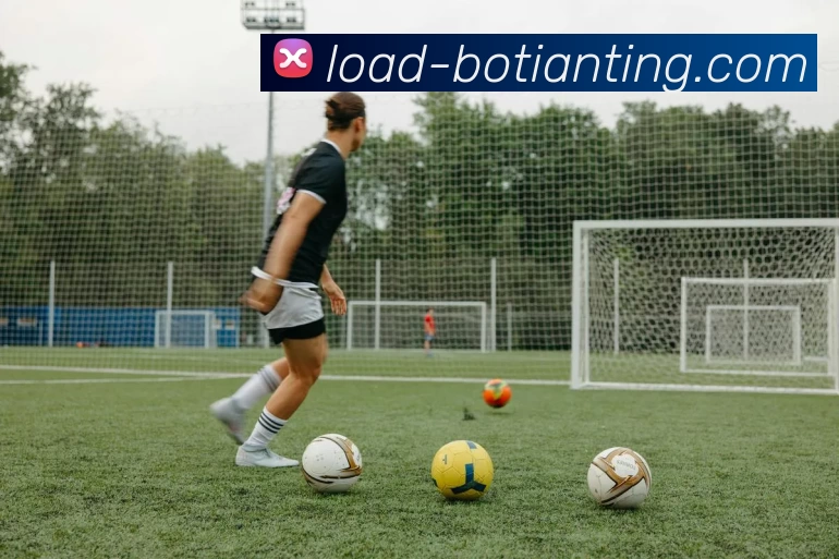 多媒体互动体验